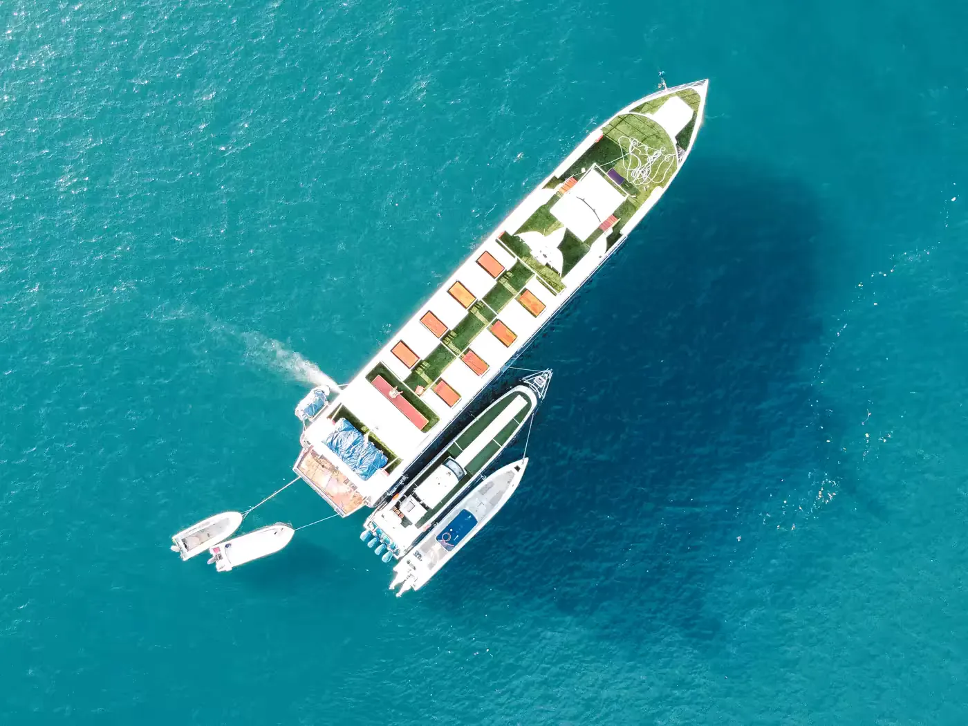 Ocean Angel - Phinisi Luxury (Private Charter)