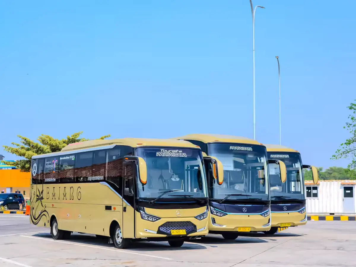 Medium Bus