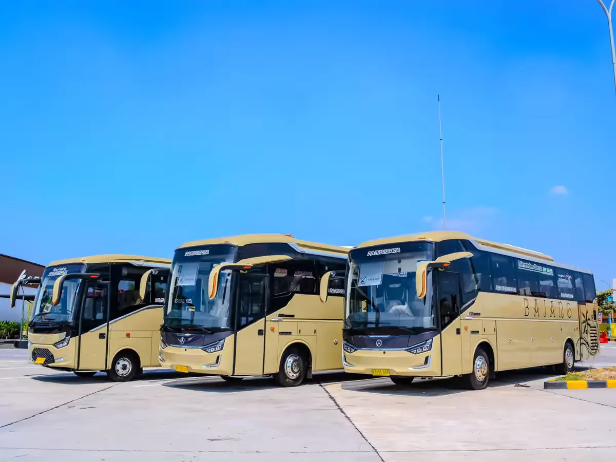 Big Bus Pariwisata