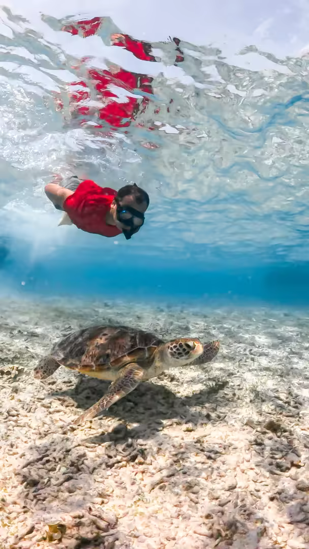 Paket Tour Lombok 5 Hari 4 Malam – Pink Beach, Mandalika & Gili Trawangan - Foto Perjalanan 5