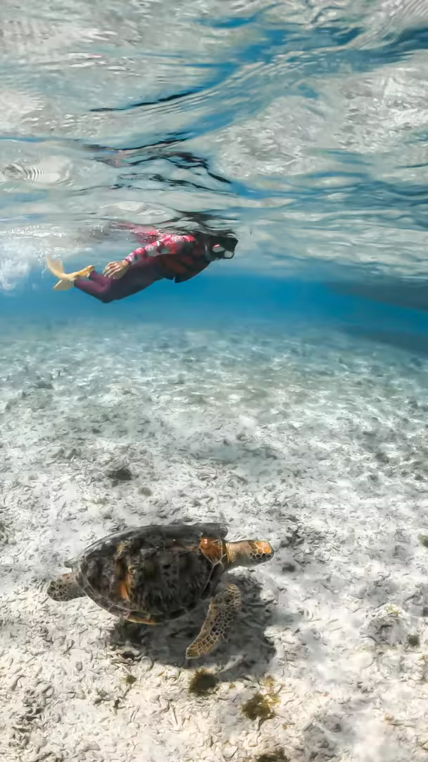 Paket Tour Lombok 5 Hari – Gili Trawangan, Mandalika & Air Terjun - Foto Perjalanan 13