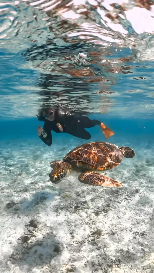 Paket Tour Lombok 5 Hari 4 Malam – Snorkeling Gili Trawangan, Meno & Air - Foto Perjalanan 4