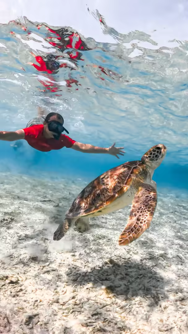 Paket Tour Lombok 5 Hari – Gili Trawangan, Mandalika & Air Terjun - Foto Perjalanan 18