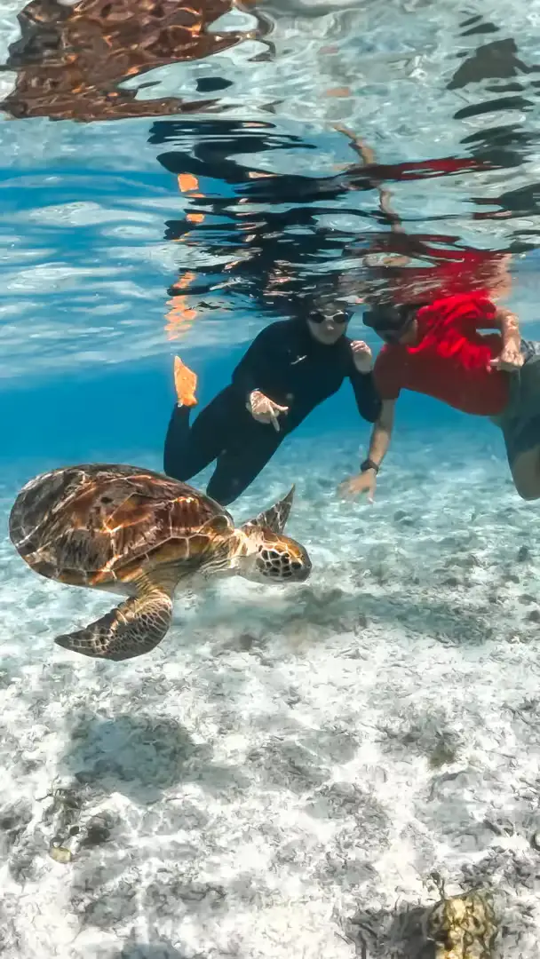 Paket Wisata Lombok 6 Hari 5 Malam Gili Nanggu, Gili Trawangan, Waterfall & Pantai Pink