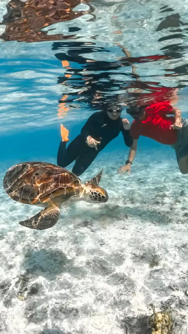 One Day Sumbawa Kenawa, Paserang & Kambing Island Tour Package - Journey Photos 5