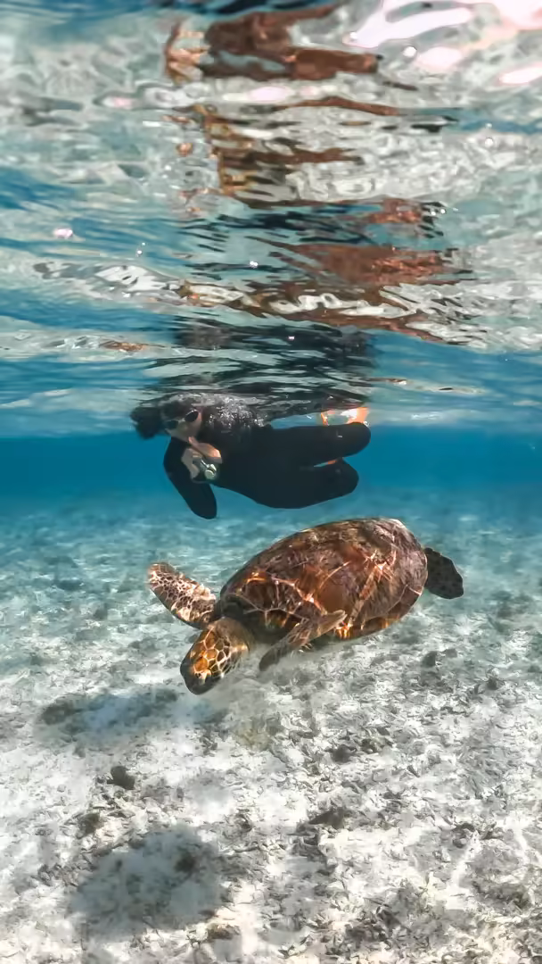 Paket Wisata Lombok 3 Hari 2 Malam Explore Gili Trawangan Speed Boat & Mandalika - Foto Perjalanan 7