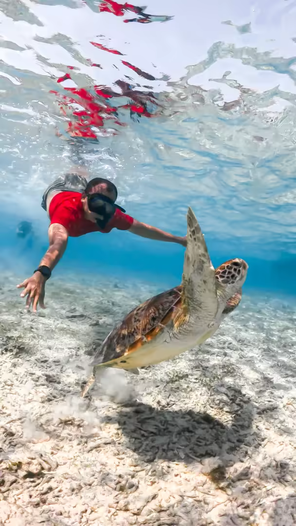 Paket Wisata Lombok 6 Hari 5 Malam Gili Nanggu, Gili Trawangan, Waterfall & Pantai Pink - Foto Perjalanan 20