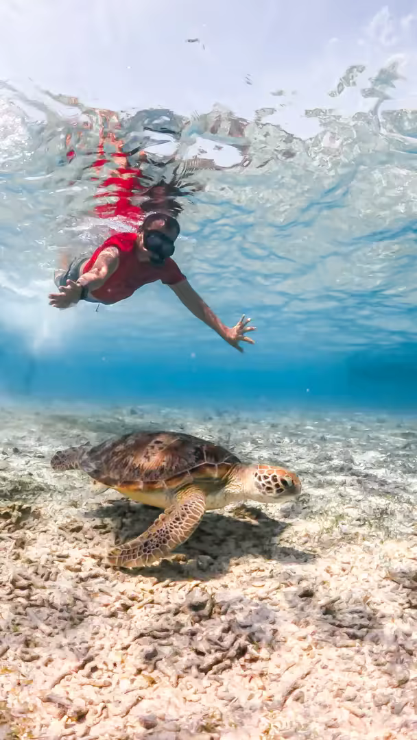 Paket Tour Lombok 6 Hari 5 Malam – Gili Nanggu, Mandalika, Gili Trawangan & Air Terjun - Foto Perjalanan 15