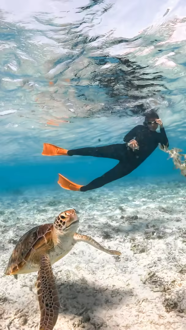 Paket Tour Lombok 5 Hari 4 Malam – Snorkeling Gili Trawangan, Meno & Air - Foto Perjalanan 15
