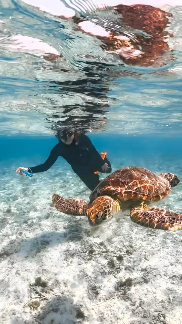 Paket Wisata Lombok 5 Hari 4 Malam Gili Nanggu, Gili Trawangan & Waterfall - Foto Perjalanan 3