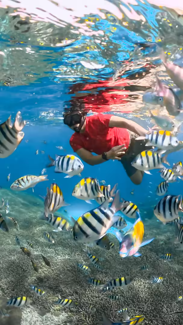 Paket Tour Lombok 5 Hari 4 Malam – Snorkeling Gili Trawangan, Meno & Air - Foto Perjalanan 5