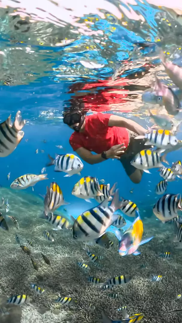 One Day Lombok Gili Air, Gili Meno & Gili Trawangan Snorkeling Package - Journey Photos 16