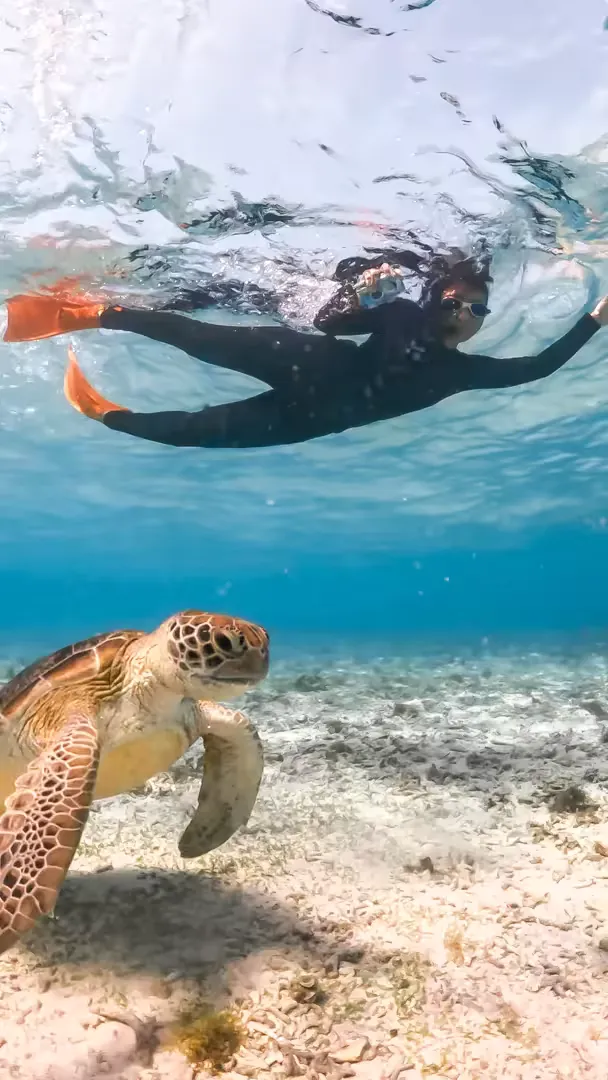 One Day Lombok Gili Air, Gili Meno & Gili Trawangan Snorkeling Package - Journey Photos 8
