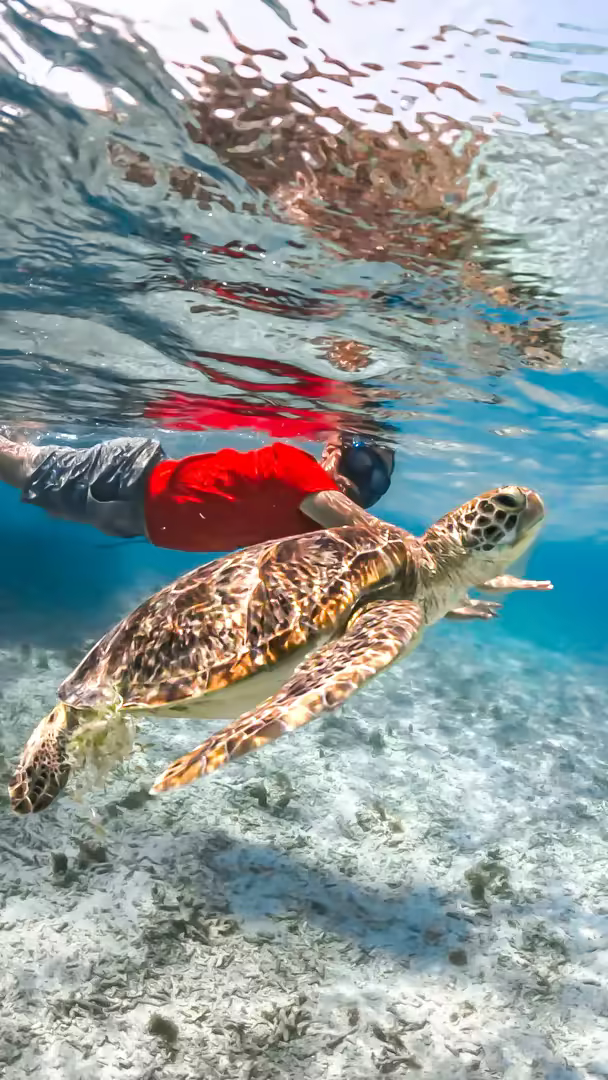 Paket Tour Lombok 5 Hari 4 Malam – Snorkeling Gili Trawangan, Meno & Air - Foto Perjalanan 9