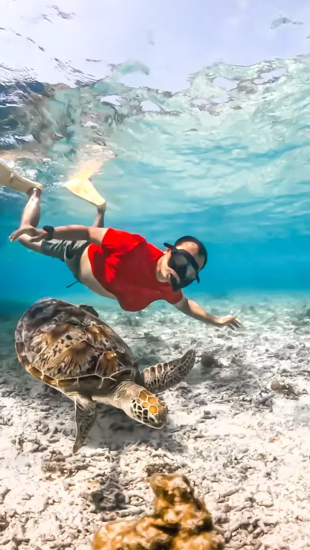 Paket Tour Lombok 4 Hari – Air Terjun, City Tour & Gili Trawangan