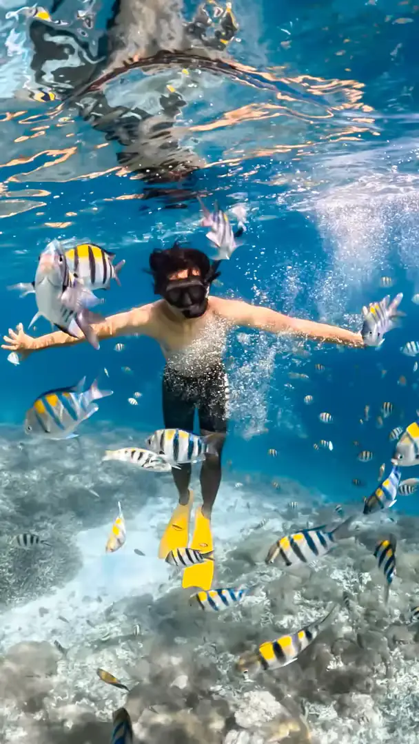 Paket Wisata 1 Hari Snorkeling Gili Air, Gili Meno & Gili Trawangan