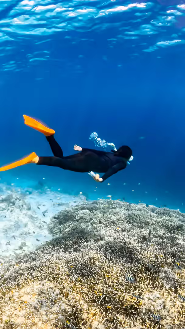 Paket Tour Lombok 5 Hari – Air Terjun, Gili Nanggu, Mandalika & Trawangan - Foto Perjalanan 3