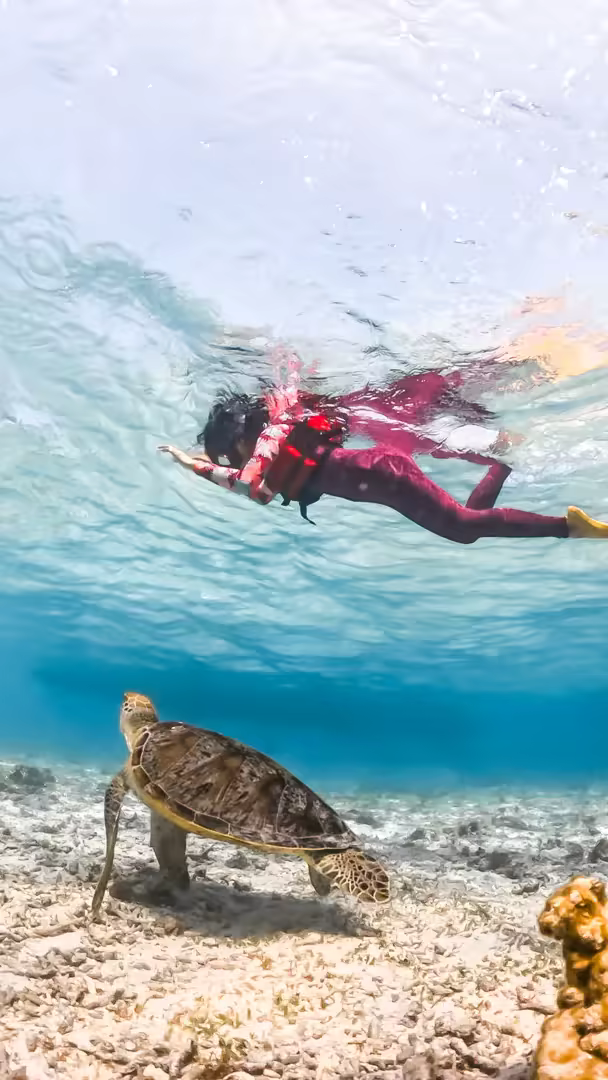 Paket Tour Lombok 4 Hari 3 Malam – Mandalika, Pink Beach & Gili Trawangan - Foto Perjalanan 15