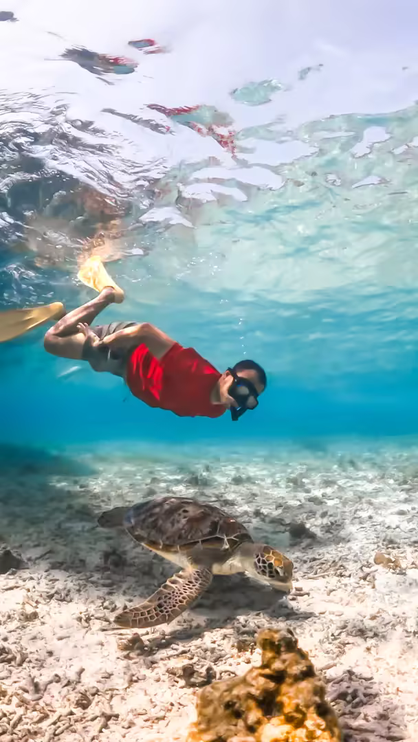 Paket Tour Lombok 5 Hari – Air Terjun, Gili Nanggu, Mandalika & Trawangan - Foto Perjalanan 11