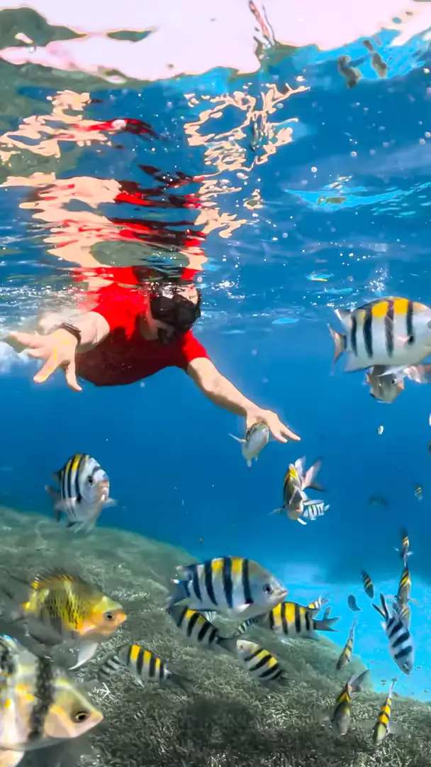 Paket Tour Lombok 4 Hari – Snorkeling 3 Gili, City Tour & Mandalika