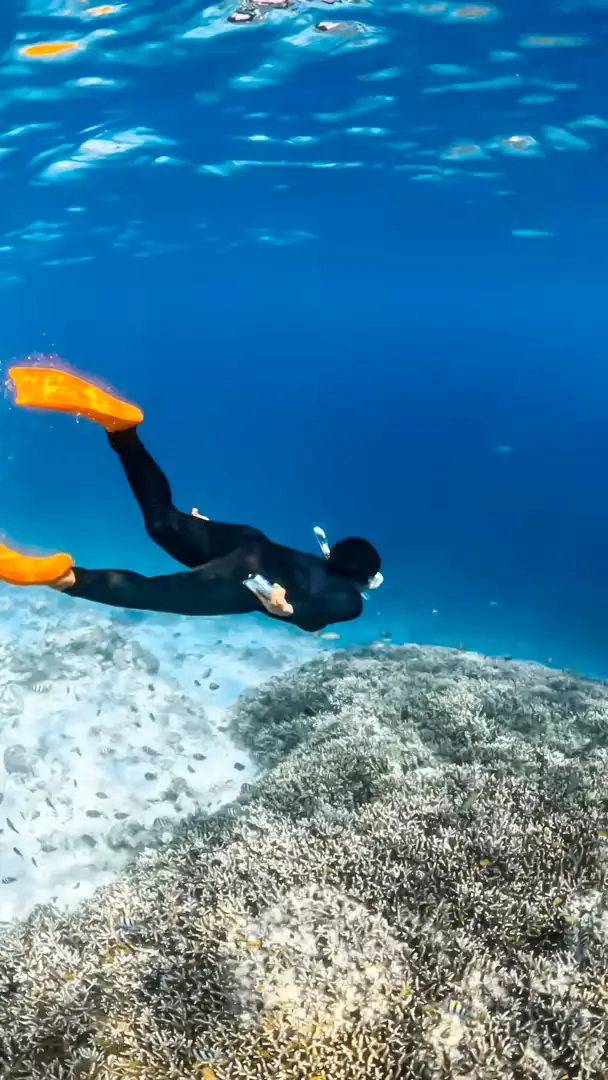 Paket Wisata 1 Hari Gili Layar, Gili Gede & Gili Rengit