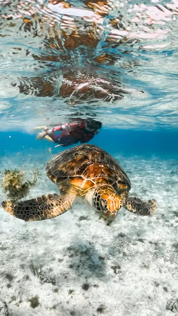Paket Wisata Lombok 6 Hari 5 Malam Gili Nanggu, Gili Trawangan, Waterfall & Pantai Pink - Foto Perjalanan 17