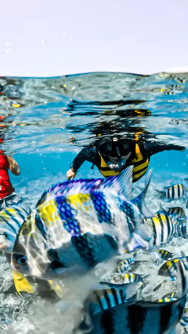 Paket Tour Lombok 5 Hari – Air Terjun, Gili Nanggu, Mandalika & Trawangan - Foto Perjalanan 9