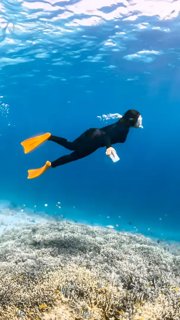 Gili Kedis