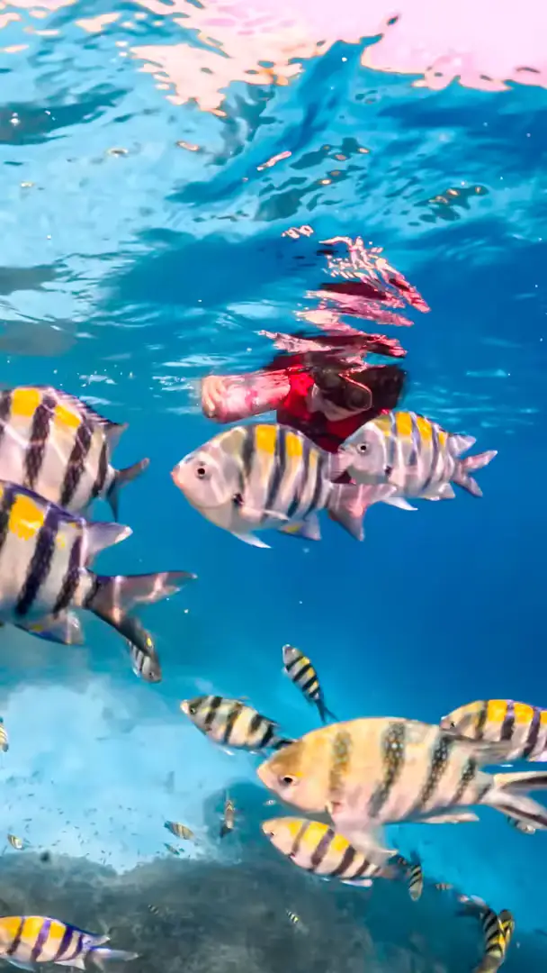 Paket Tour Lombok 4 Hari – Air Terjun, Gili Trawangan & Mandalika