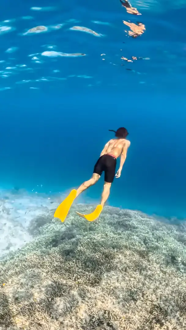 Paket Tour Lombok 4 Hari – City Tour, Snorkeling 3 Gili, Mandalika & Air Terjun