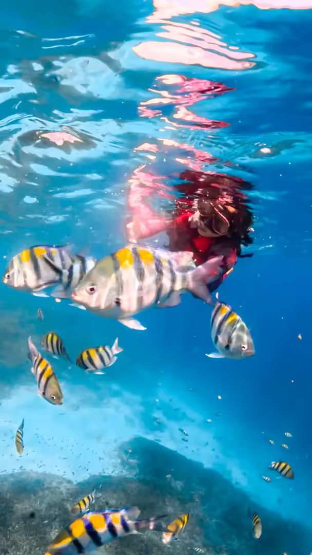 Paket Tour Lombok 5 Hari 4 Malam – Pink Beach, Mandalika & Gili Trawangan - Foto Perjalanan 4