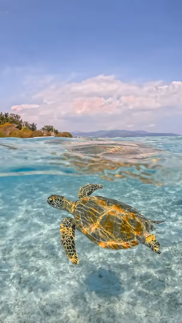 Paket Tour Lombok 5 Hari – Air Terjun, Gili Nanggu, Mandalika & Trawangan - Foto Perjalanan 7