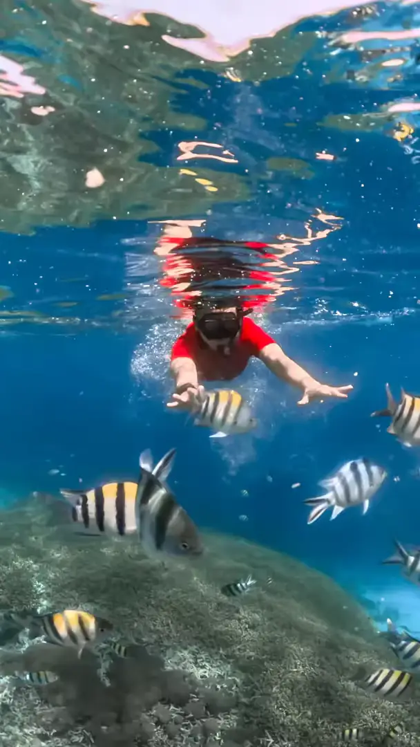 Paket Wisata Lombok 3 Hari 2 Malam Explore Gili Trawangan Speed Boat & Mandalika