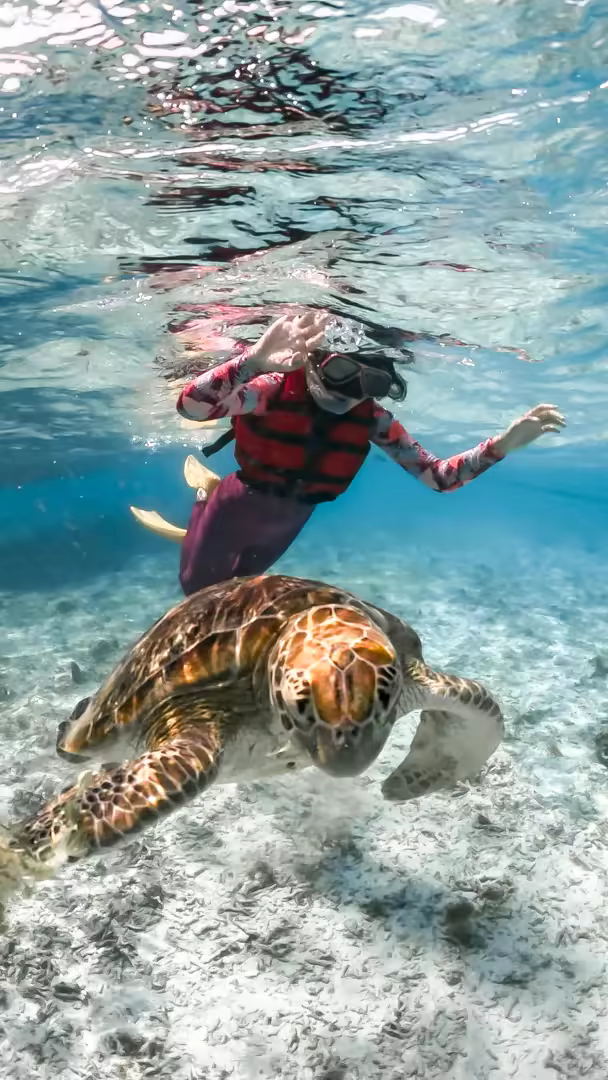 Paket Wisata Lombok 3 Hari 2 Malam Snorkeling 3 Gili & Mandalika - Foto Perjalanan 8