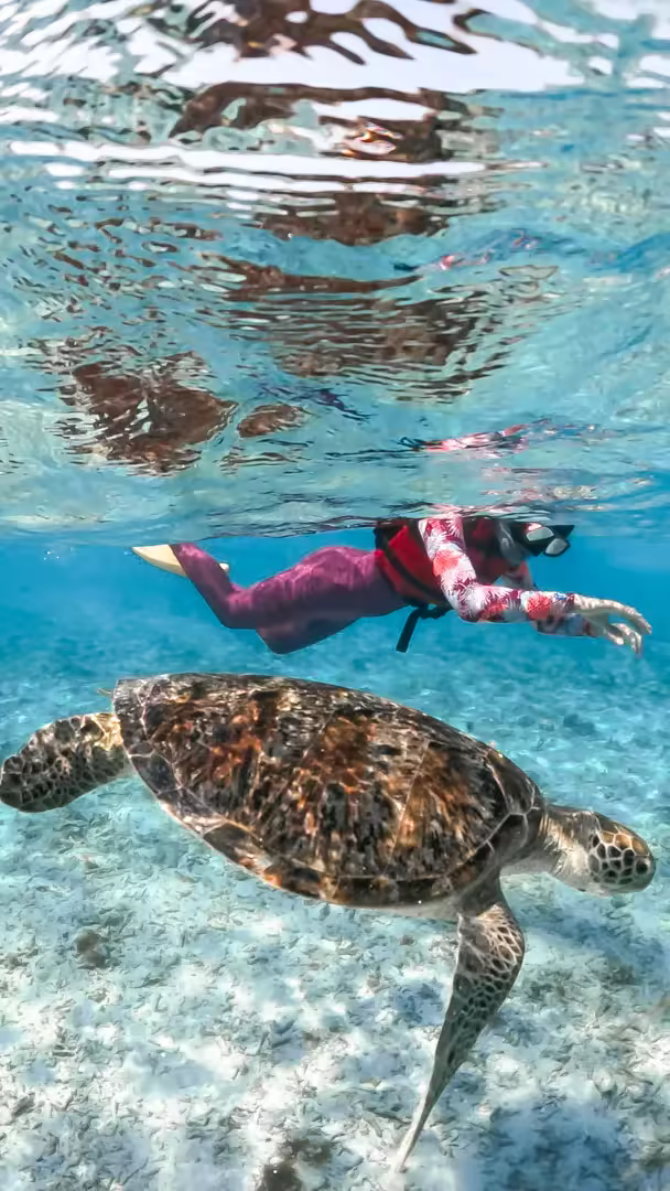 Paket Wisata Lombok 3 Hari 2 Malam Snorkeling 3 Gili & Mandalika - Foto Perjalanan 18