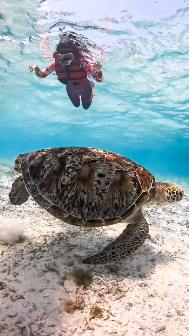 Paket Tour Lombok 5 Hari 4 Malam – Gili Nanggu, Mandalika & Gili Trawangan - Foto Perjalanan 9